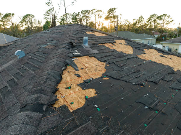 Best Rubber Roofing (EPDM, TPO)  in Raceland, KY