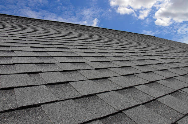 Best Cold Roofs  in Raceland, KY